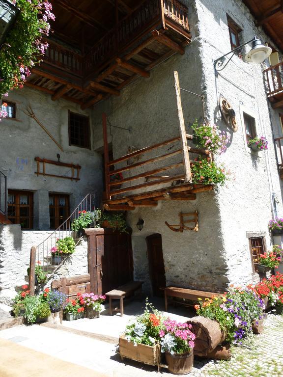Agriturismo Barba Gust 세사나토리니즈 외부 사진