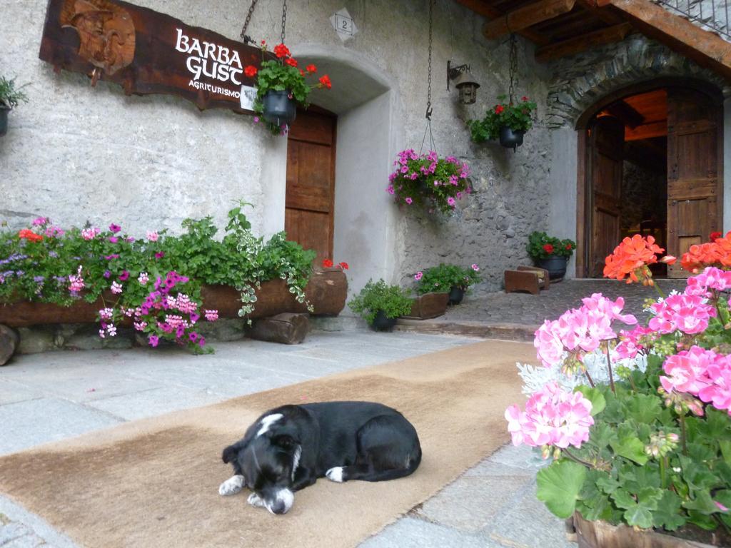 Agriturismo Barba Gust 세사나토리니즈 외부 사진