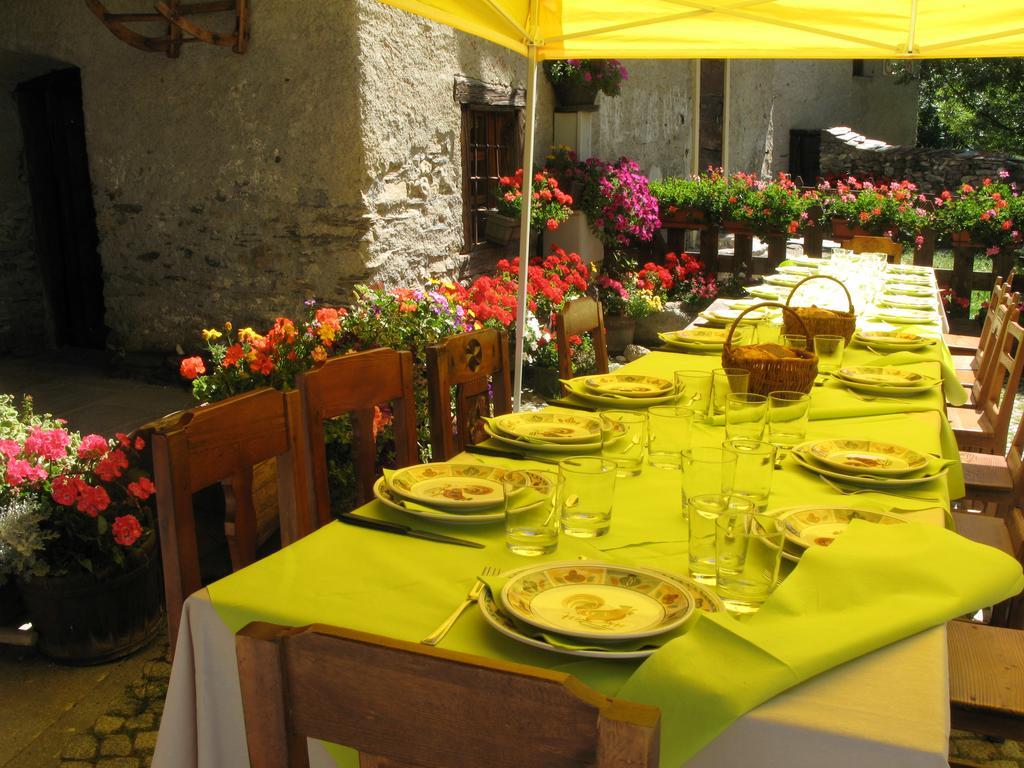 Agriturismo Barba Gust 세사나토리니즈 외부 사진