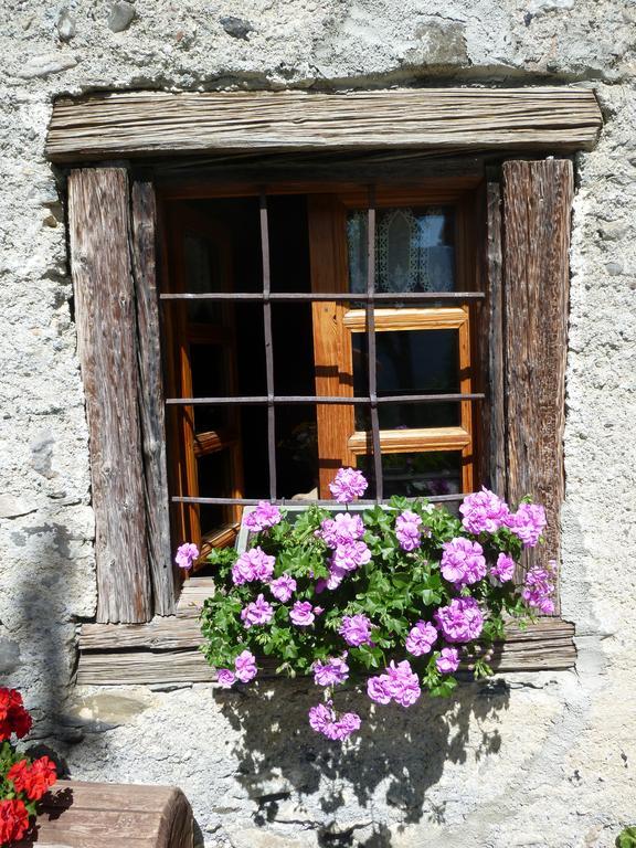 Agriturismo Barba Gust 세사나토리니즈 외부 사진